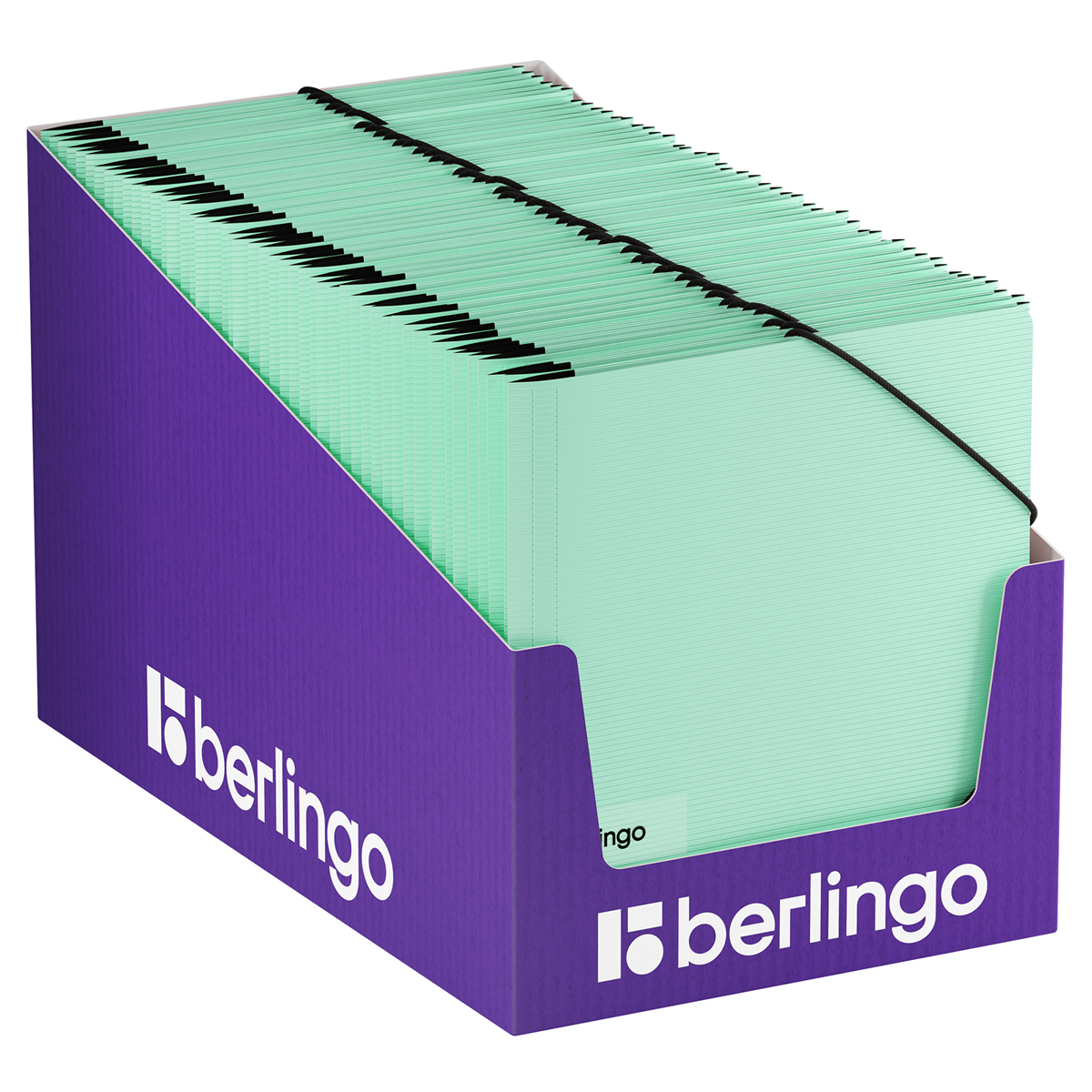 Папка на резинке Berlingo "Instinct" А5, пластик, 600мкм, мятный
