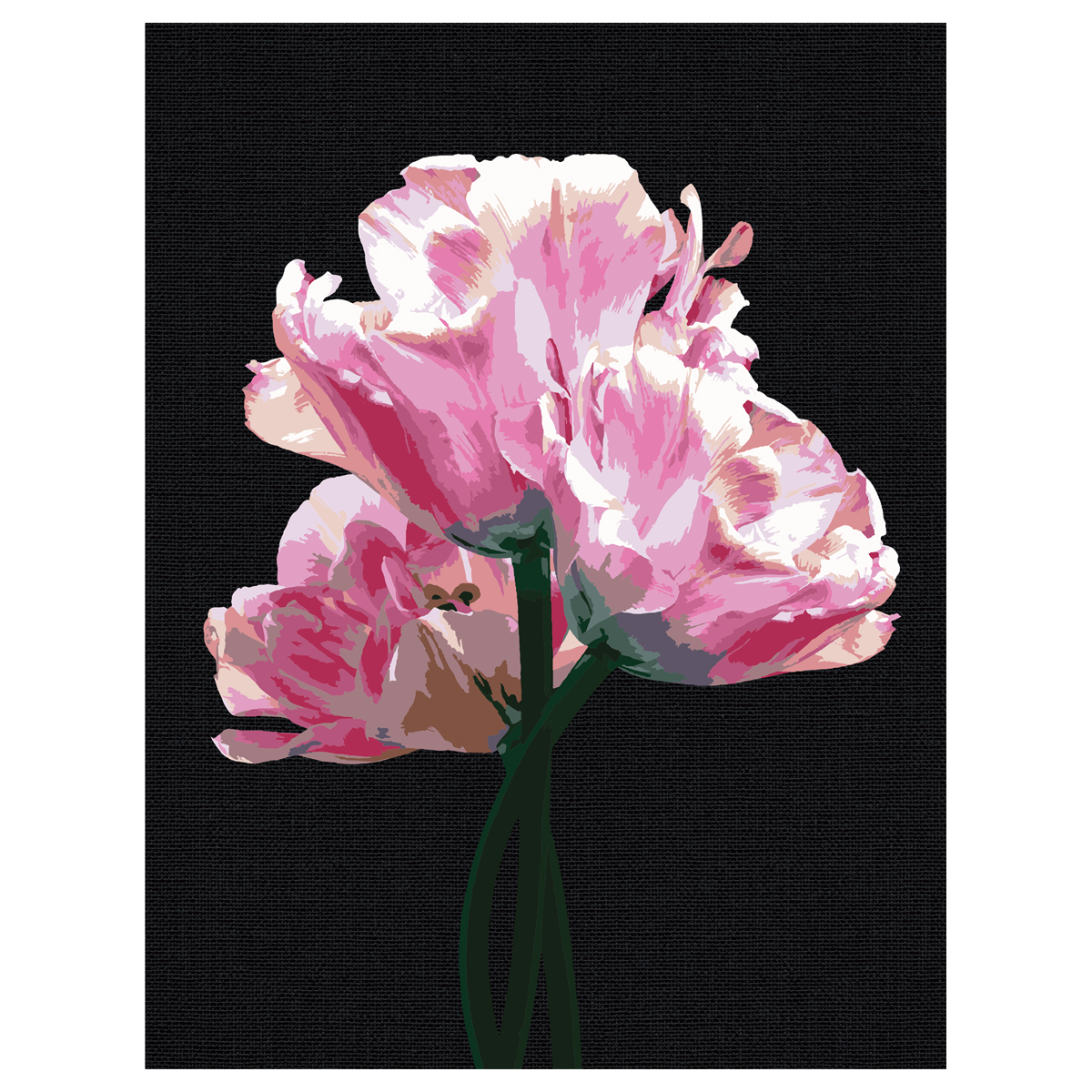 Картина по номерам на черном холсте ТРИ СОВЫ "Розовые цветы", 30*40, c акриловыми красками и кистями