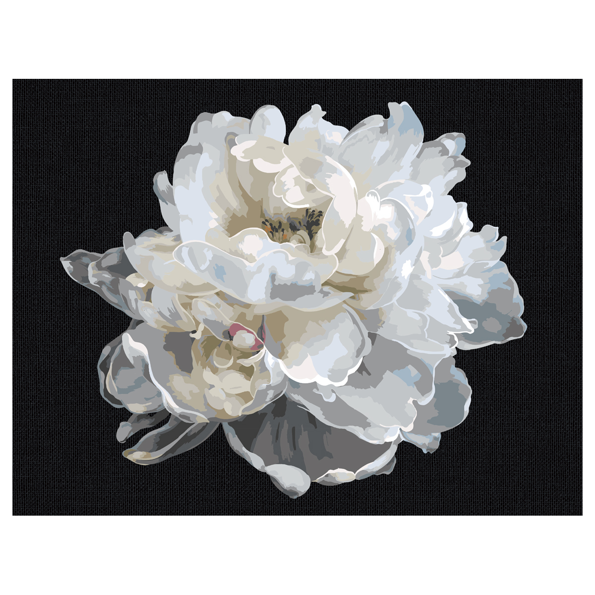 Картина по номерам на черном холсте ТРИ СОВЫ "Белый цветок", 30*40, c акриловыми красками и кистями