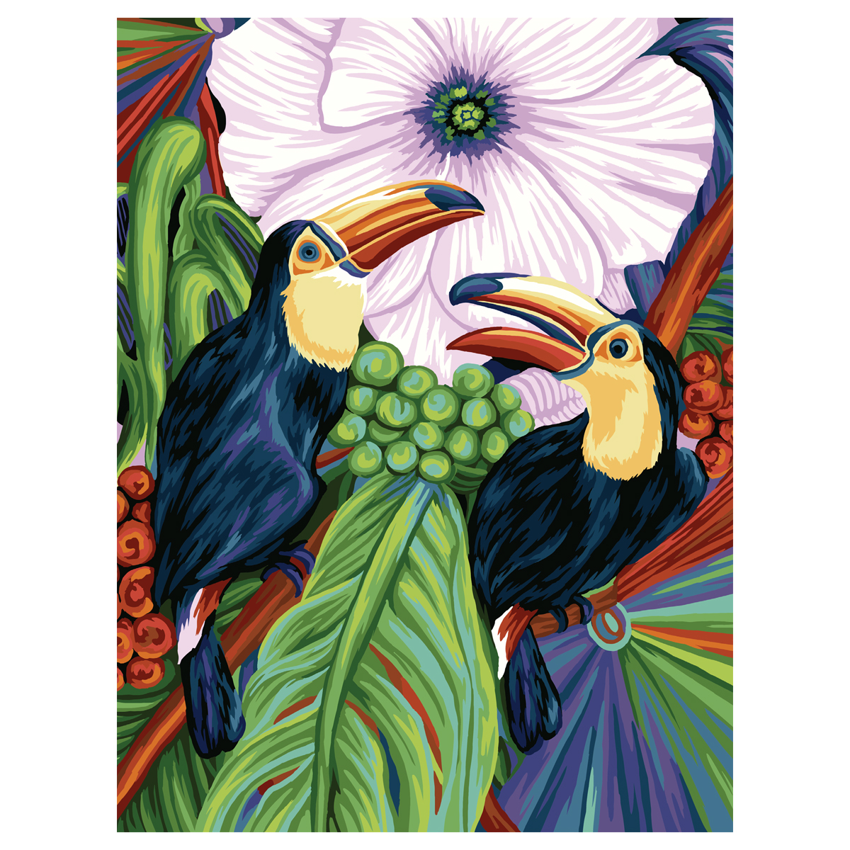 Картина по номерам на холсте ТРИ СОВЫ "Туканы", 40*50, с акриловыми красками и кистями