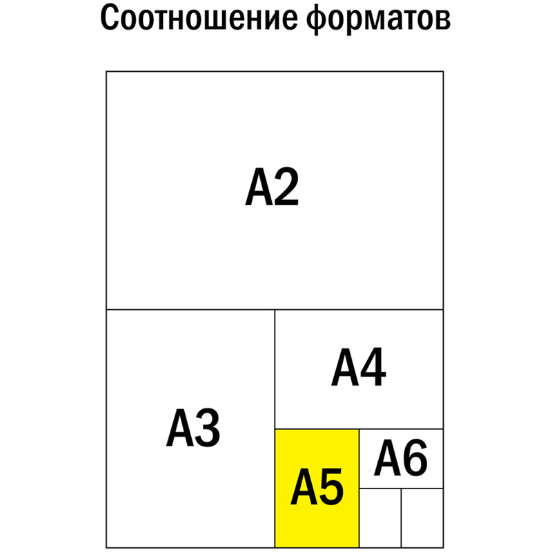 Тетрадь 48л., А5, клетка ArtSpace "Рисунки. landscape", эконом