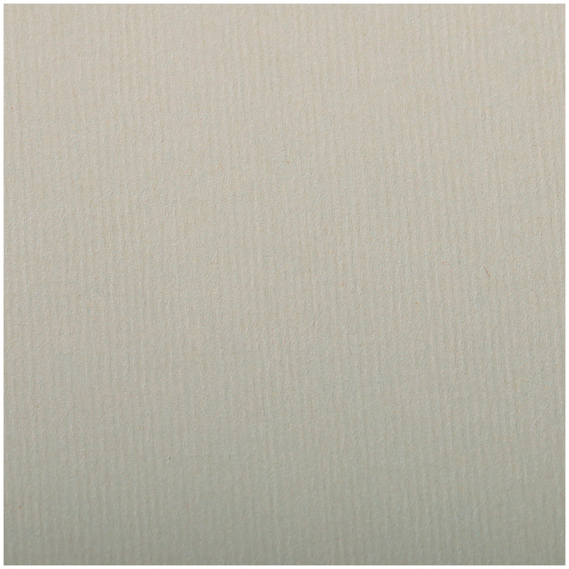 Бумага для пастели, 25л., 500*650мм Clairefontaine "Ingres", 130г/м2, верже, хлопок, металлик